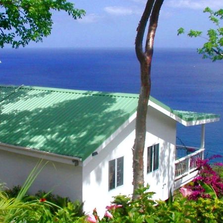Nature'S Paradise Bed & Breakfast Marigot Bay Eksteriør bilde