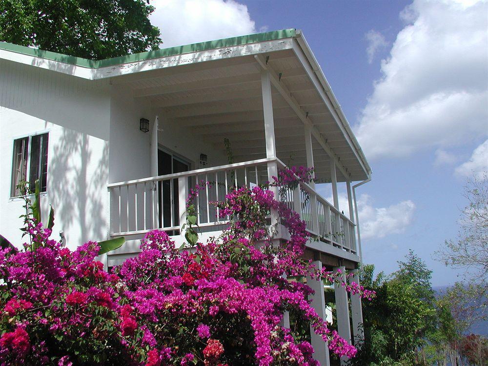 Nature'S Paradise Bed & Breakfast Marigot Bay Eksteriør bilde
