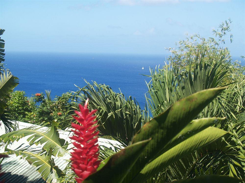 Nature'S Paradise Bed & Breakfast Marigot Bay Eksteriør bilde
