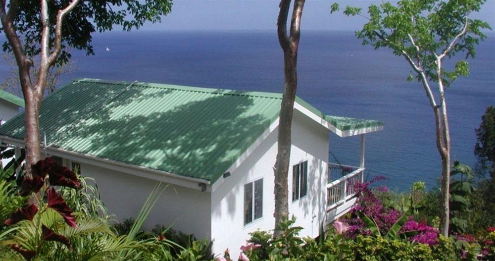 Nature'S Paradise Bed & Breakfast Marigot Bay Eksteriør bilde