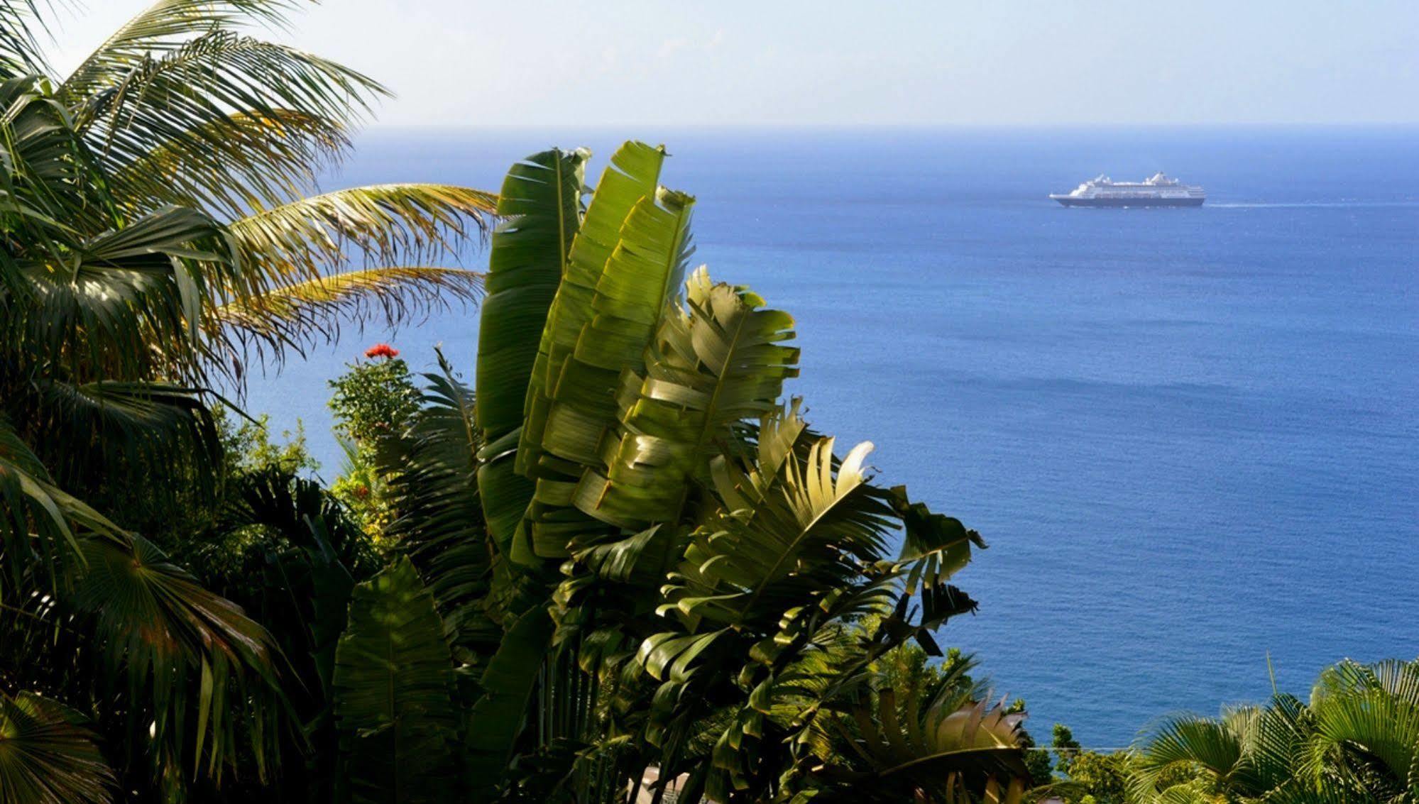 Nature'S Paradise Bed & Breakfast Marigot Bay Eksteriør bilde