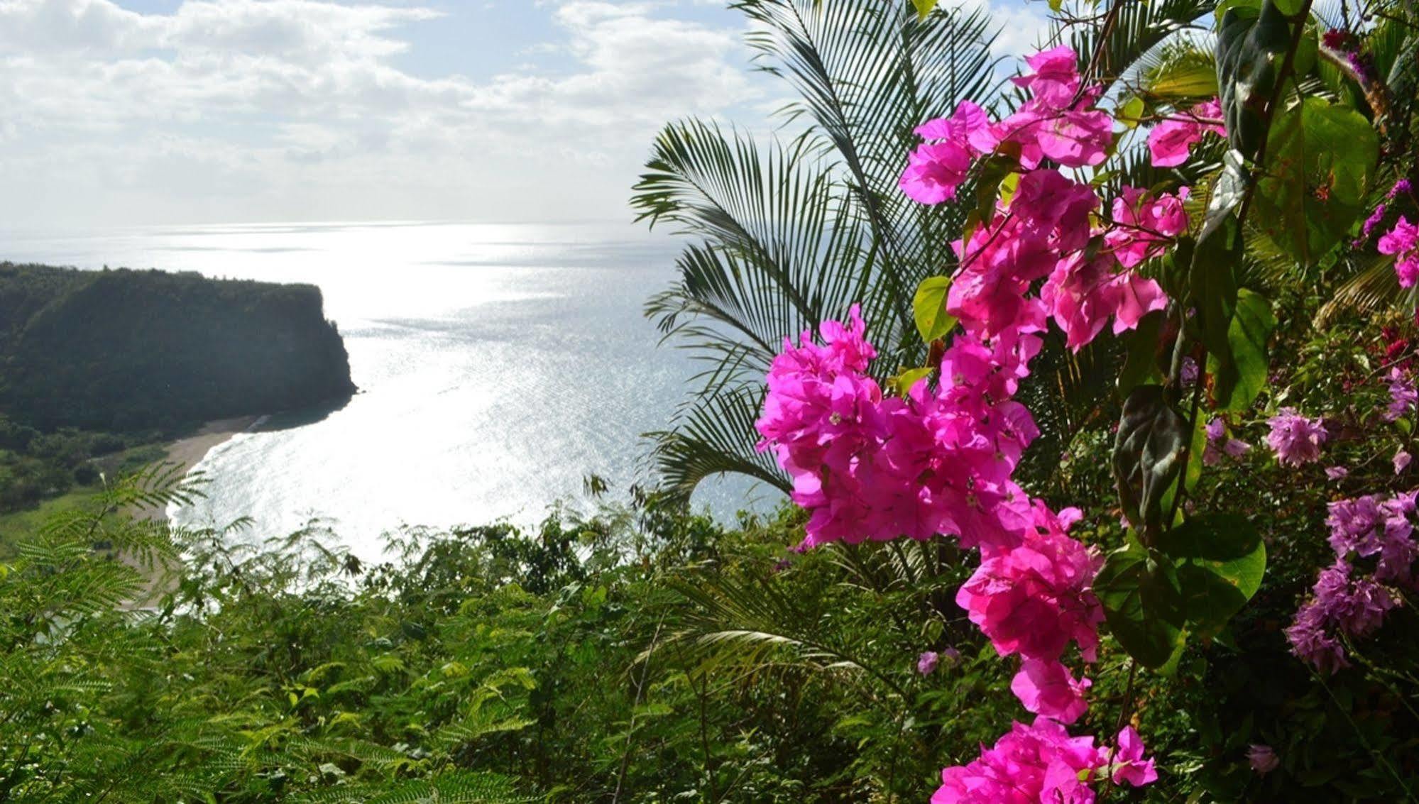 Nature'S Paradise Bed & Breakfast Marigot Bay Eksteriør bilde