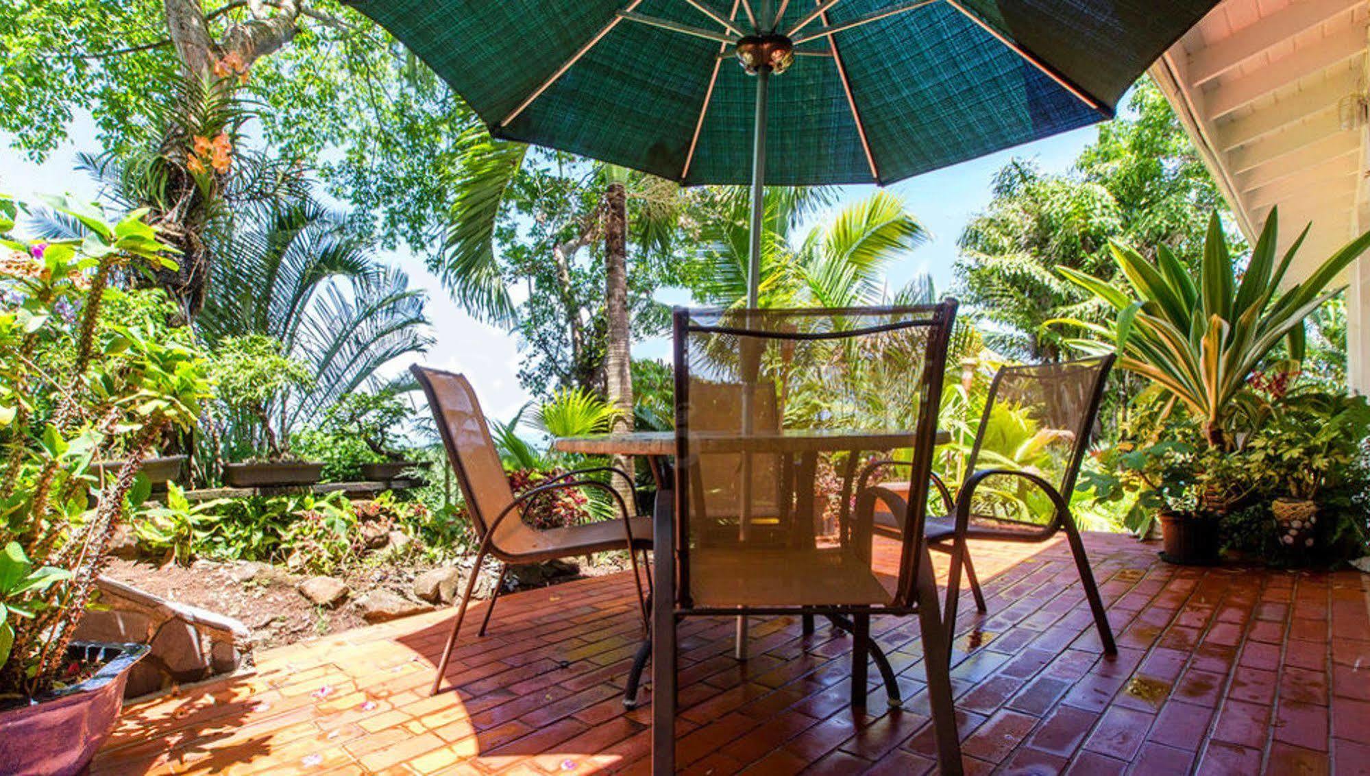 Nature'S Paradise Bed & Breakfast Marigot Bay Eksteriør bilde